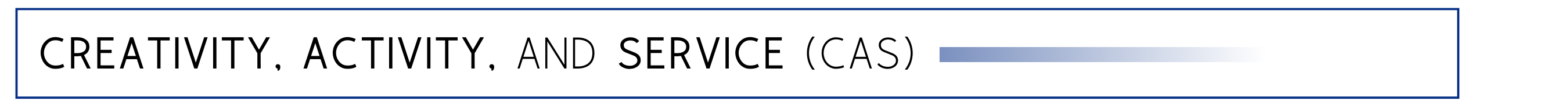 网站小标题 CCA合集.png